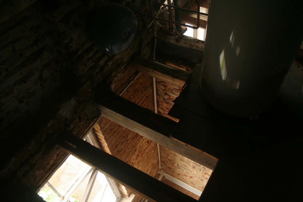 La mérule est un champignon ligivore qui se nourrit du bois, sur ce chantier, le plafond et le plancher ont été retiré, les gîtes étant égalment atteinte, elle seront retirées et remplacées. 003
